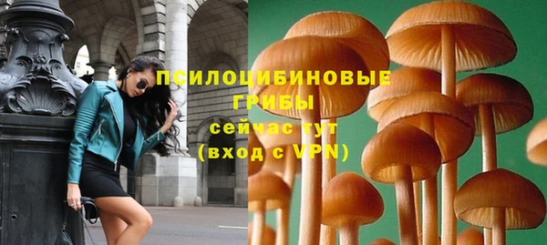 шишки Бородино